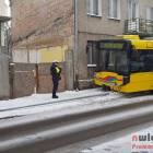 Fotka nr 5 z 6
