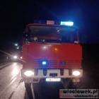 Fotka nr 1 z 6