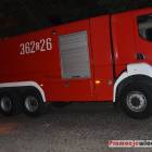 Fotka nr 3 z 8