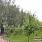 zdjęcie nr 39