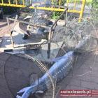 zdjęcie nr 73