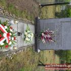 zdjęcie nr 22