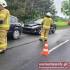 Fotka nr 1 z 3
