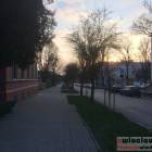 zdjęcie nr 22
