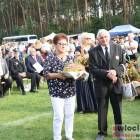 zdjęcie nr 259