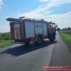 Fotka nr 2 z 3