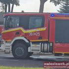 zdjęcie nr 8