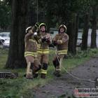 zdjęcie nr 14