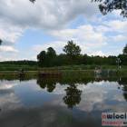 zdjęcie nr 47