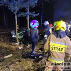 zdjęcie nr 9