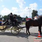 zdjęcie nr 103