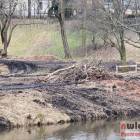zdjęcie nr 19