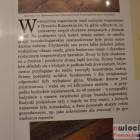 zdjęcie nr 44