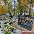 zdjęcie nr 21