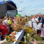 zdjęcie nr 123