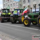 zdjęcie nr 13