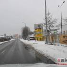 zdjęcie nr 12