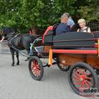 zdjęcie nr 37