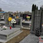 zdjęcie nr 23