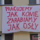 zdjęcie nr 28