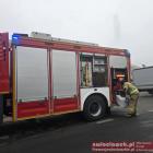 Fotka nr 2 z 3