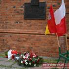 zdjęcie nr 16