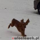 zdjęcie nr 45