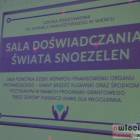 zdjęcie nr 37