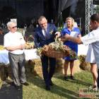 zdjęcie nr 193