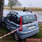 Fotka nr 1 z 3