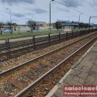 zdjęcie nr 7