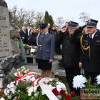 zdjęcie nr 92
