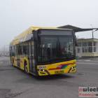 zdjęcie nr 31