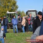 zdjęcie nr 45
