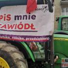 zdjęcie nr 13