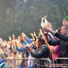 zdjęcie nr 93