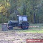 zdjęcie nr 43