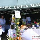 zdjęcie nr 14