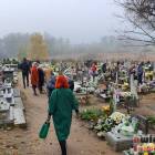 zdjęcie nr 11