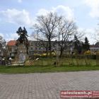 zdjęcie nr 27