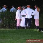 zdjęcie nr 184