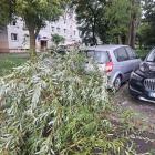 zdjęcie nr 8