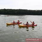 zdjęcie nr 141
