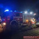 Fotka nr 1 z 2