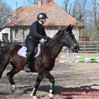 zdjęcie nr 13