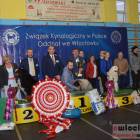 zdjęcie nr 177