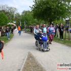 zdjęcie nr 33