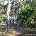 zdjęcie nr 49