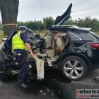Fotka nr 1 z 2