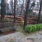 zdjęcie nr 43